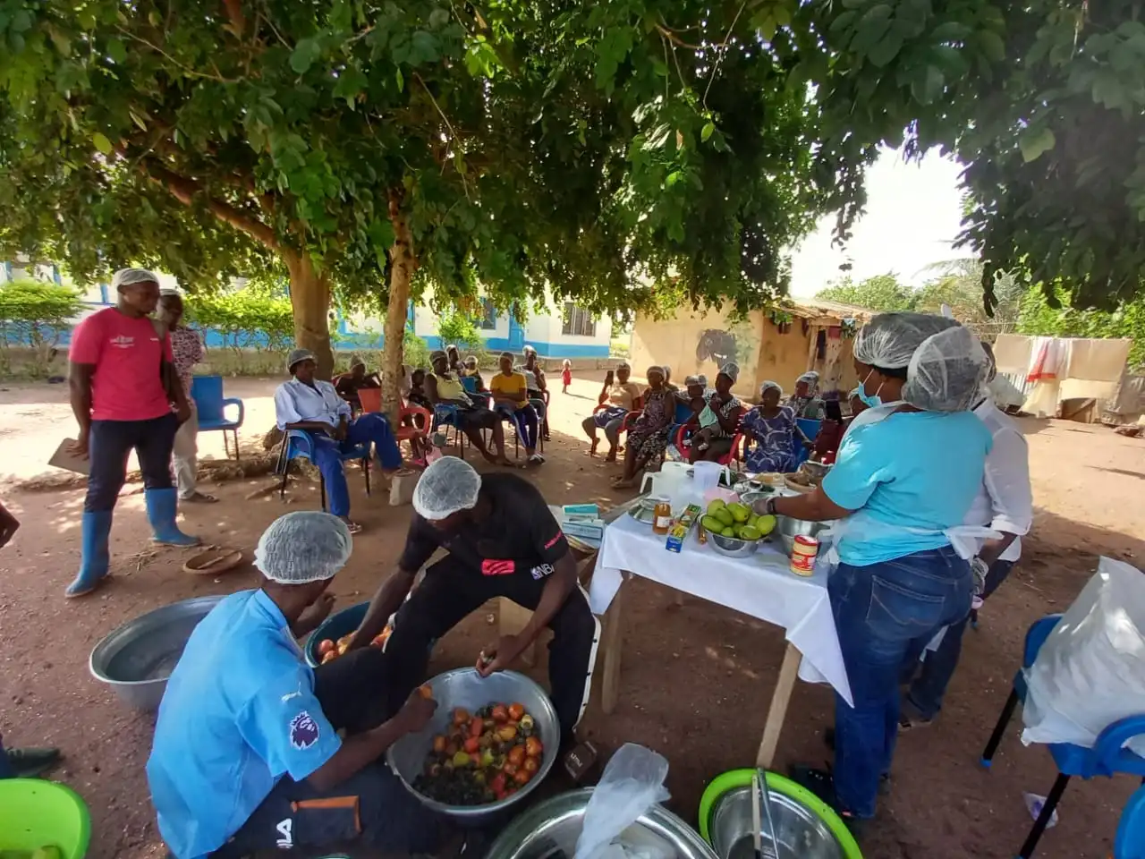 Cashew apples and nuts are harvested in Ghana. Researchers are exploring ways to turn the often-discarded fruit into a new source of income for farmers. [Courtesy: CSIR Ghana]